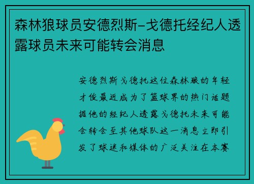 森林狼球员安德烈斯-戈德托经纪人透露球员未来可能转会消息