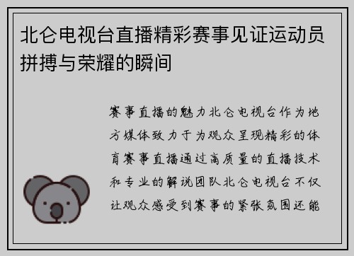 北仑电视台直播精彩赛事见证运动员拼搏与荣耀的瞬间